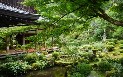 佛號梵唄 : 一向專念 阿彌陀佛 求生淨土