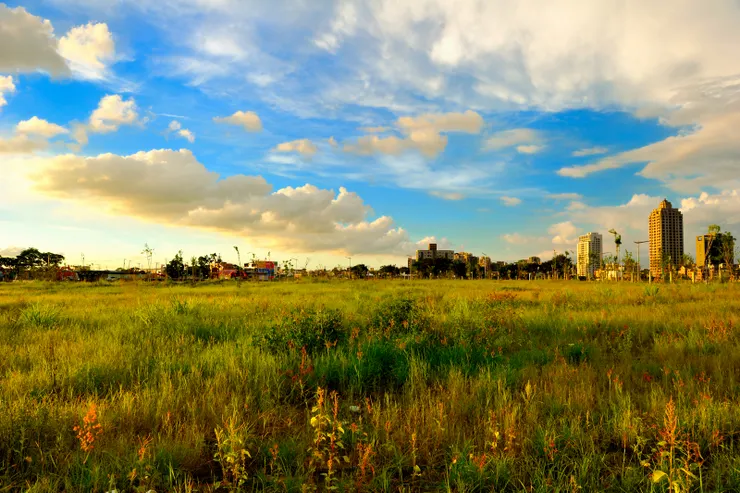 【伏低仰看市廛邈遠草原何遼闊，雲朵漸漸染紅，草花在夕照中閃爍。】