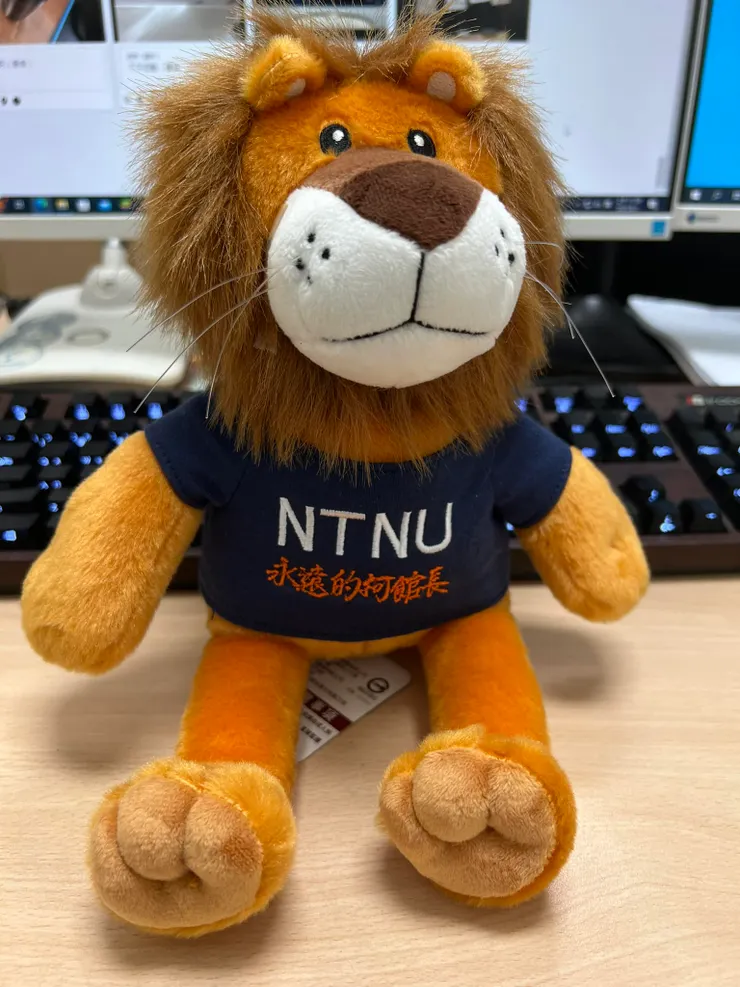 請忽略獅子上衣的字