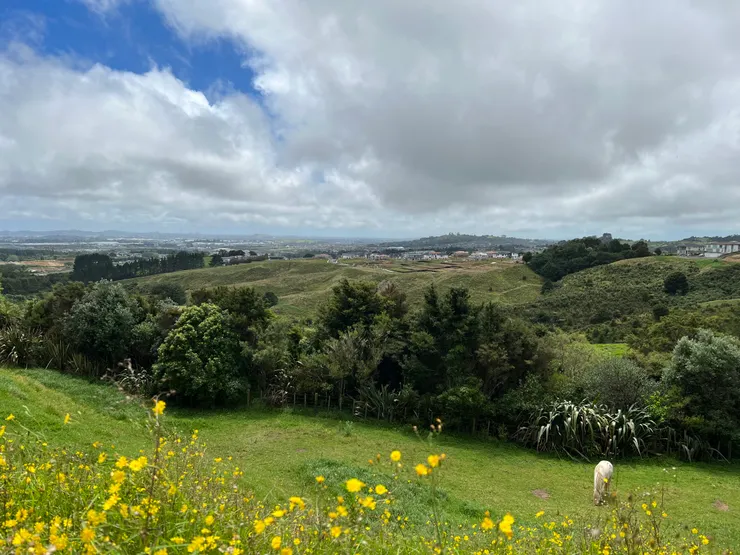 山上民房窗外開闊的視野，還有一匹享受肥美草原的白馬王子
