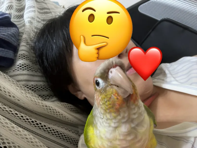 src
