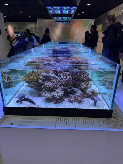 珊瑚擬態,photo by bookarchery