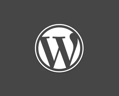 策略為核，風格為翼 - 不聊成功案例的 潘偉亷顧問