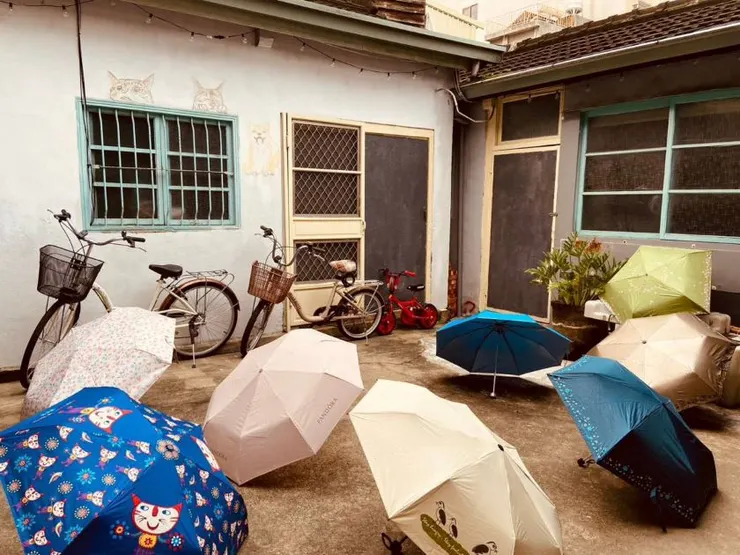 庭院的雨傘花