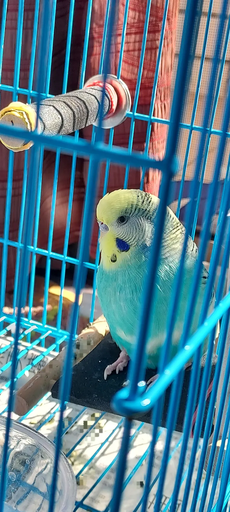 src