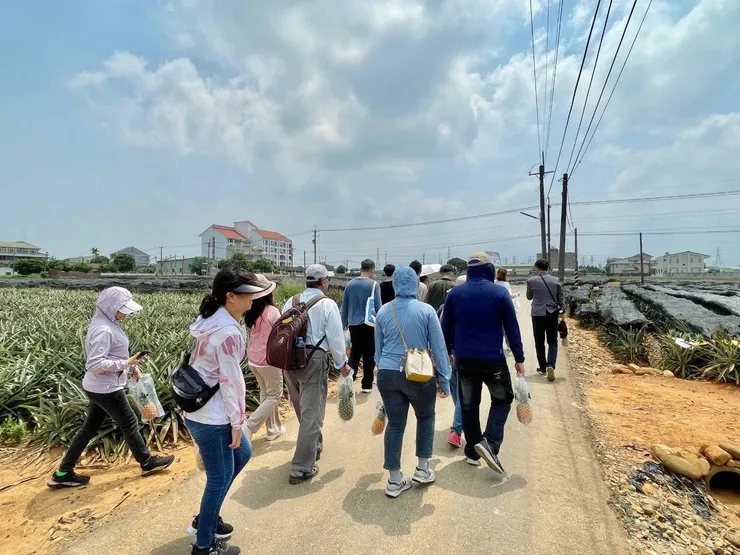 旺萊山帶民眾體驗摘採鳳梨。(圖片來源:旺萊山臉書)