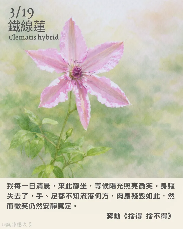 鐵線蓮×蔣勳《捨得 捨不得》