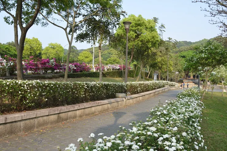 清明時節,天朗氣清,春和景明,繁花盛開  ([陳傳義]攝影)