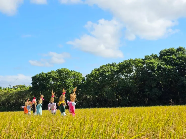 拍出很美的照片,想印成明信片哩!