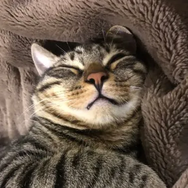 赤璟 AkaRi的沙龍