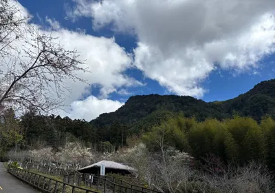 《玩到盡興，也放得乾脆》