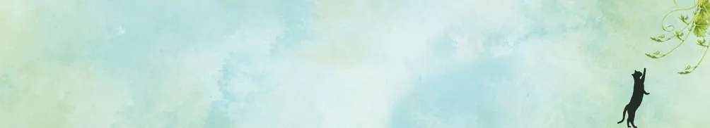 資深少女Iris的沙龍