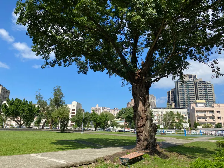 原恆光國小預定地，現為公園綠地