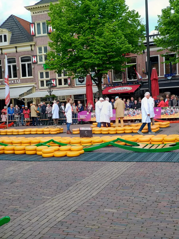 想看起司如何競標買賣,可來這裡湊湊熱鬧