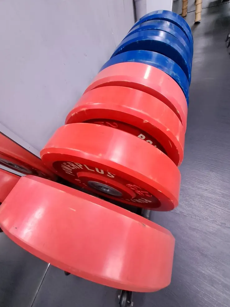 槓片。怎麼看起來很像Parmesan Cheese Wheel呢。滿腦子想的都是吃的!