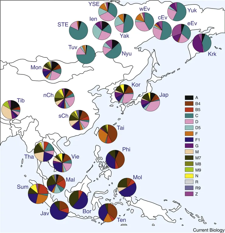 The Human Genetic History of East Asia: Weaving a Complex Tapestry