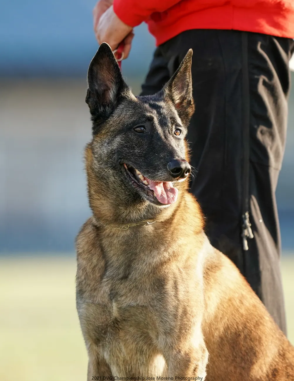 如何訓練你的狗-湯頭拔 狗狗訓練師 訓犬師 寵物訓練師