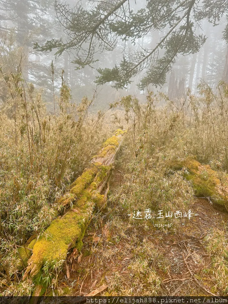 【玉山主峰西峰.兩天兩夜】排雲山莊-玉山西峰/玉山西峰神祠(