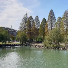 信託三哥的沙龍