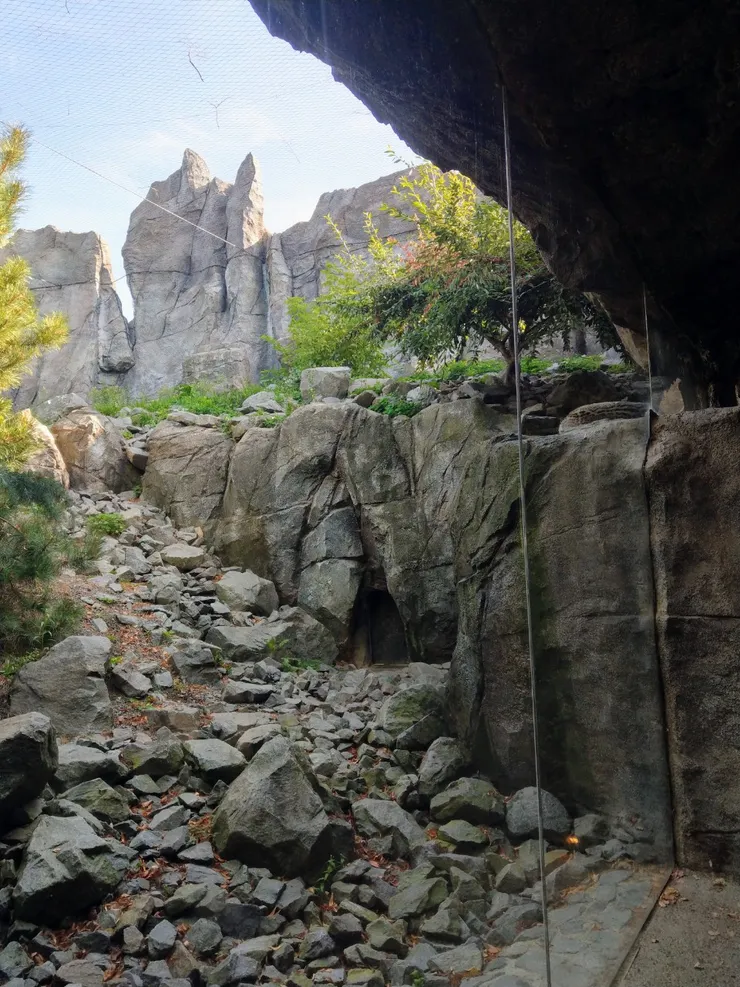 空間營造得很多樣化