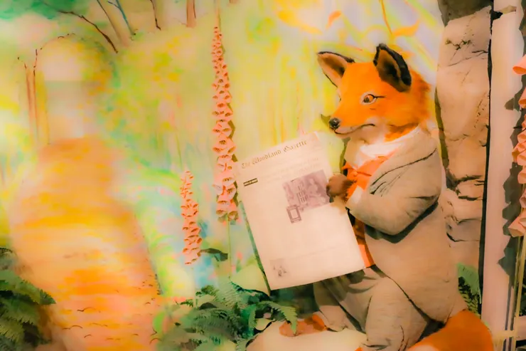 彼得兔童話世界中的狐狸角色