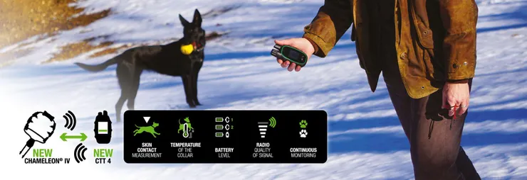 如何訓練你的狗-湯頭拔 狗狗訓練師 訓犬師 寵物訓練師