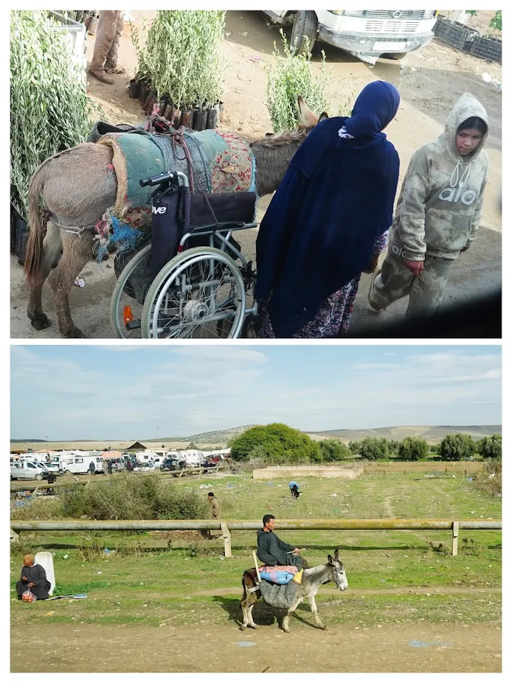 騎著小毛驢去趕集