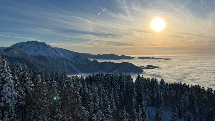 雲海上的太陽，真的美如畫。