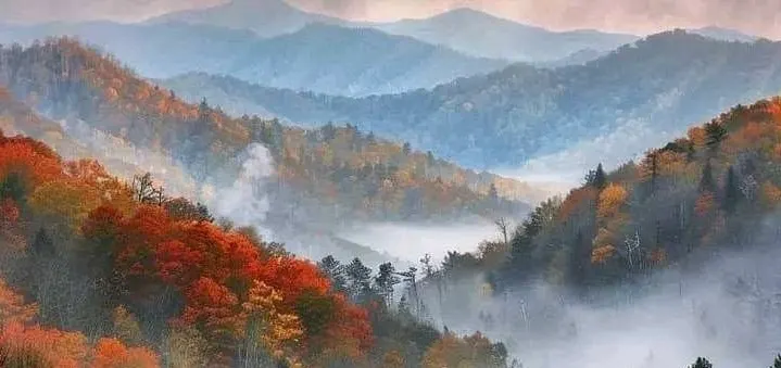 來自加拿大🇨🇦的圖片