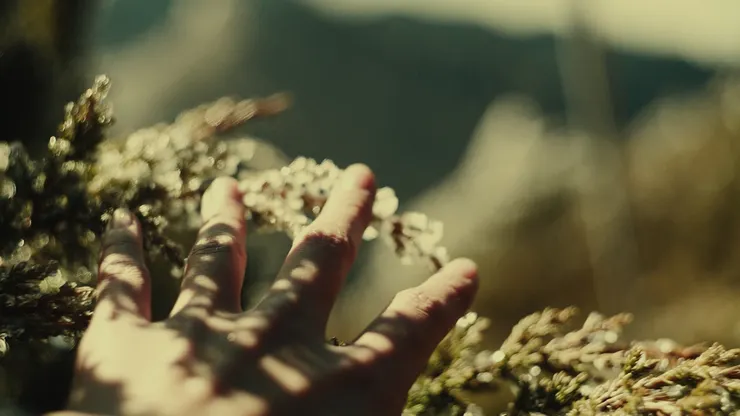 《雪水消融的季節》電影劇照/希望影視行銷 提供