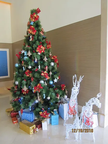 《走廊上應景的聖誕樹》