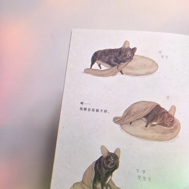 《作家和他的狗》