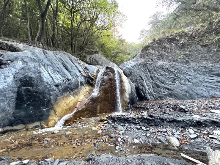 一路美景相伴。