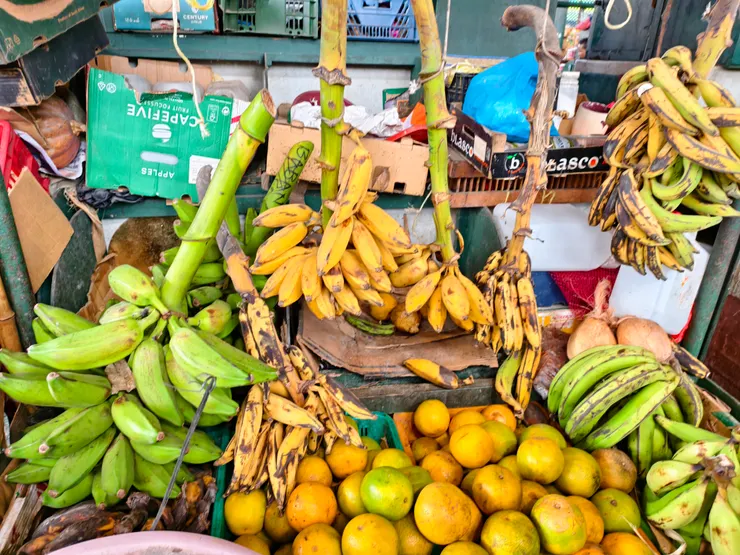 香料市場的水果攤。香蕉有很多種，有的做為水果，有的可入菜，有的是主食。