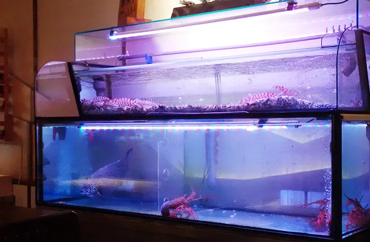 桃園美食推薦│本壽司-高cp值新鮮無菜單料理