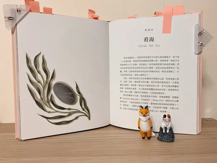 坐在海邊的岩石上⋯⋯