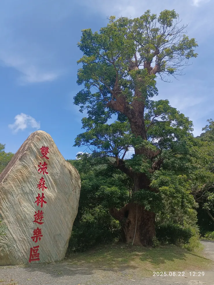 雙流森林，自拍攝