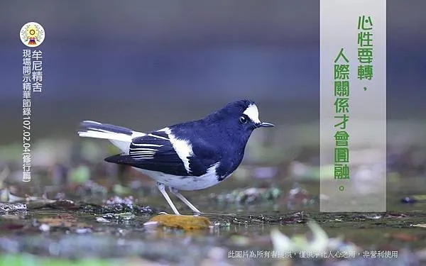 20180303_180321_0010