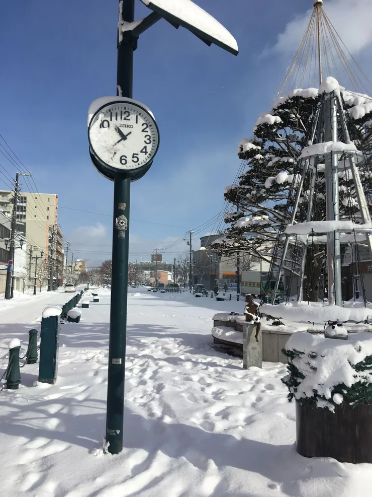 函館對我這種首次身在雪國的人來說，一般的街景都足以令我不斷拍照。
