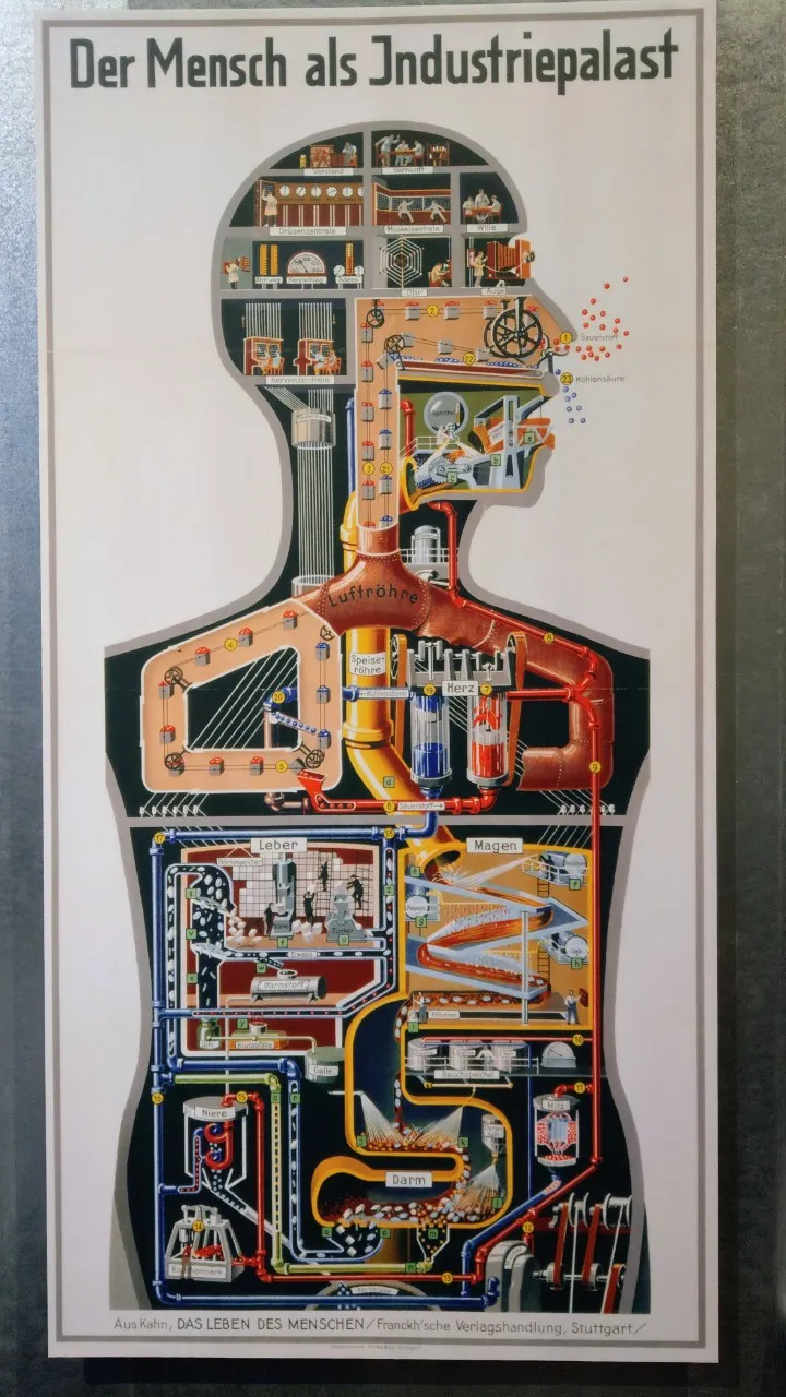 人體工廠,完美體現機械論者對人體的想像