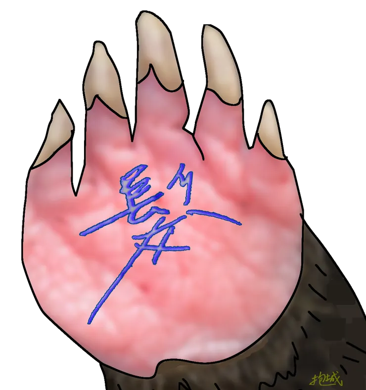 寫在鼴鼠手掌上的「髮」字。