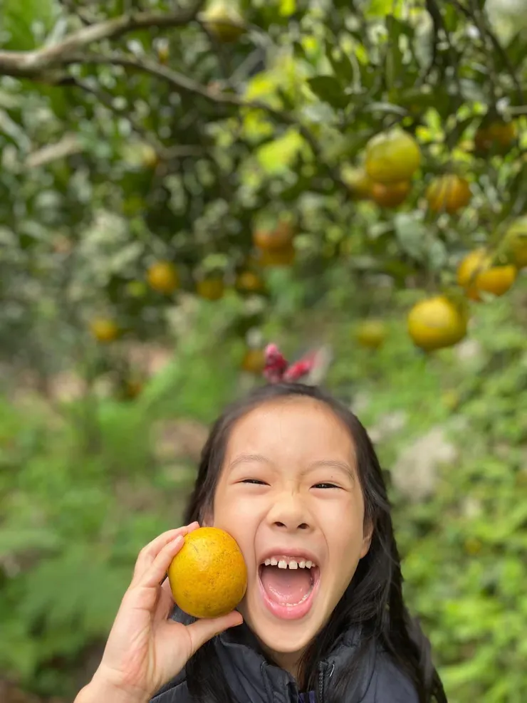 柑和橘兩者常統稱為「柑橘」。柑橘類水果包括橘子、柑、柚、枸櫞、甜橙、酸橙、金橘、檸檬等一大家族。  柑、橘的共同特點是含有豐富的糖類和多種維生素，特別是維生素Ｃ含量較高。橘子被美國營養學家評為十種最佳食物之一。  曬乾的橘子皮，就是中藥的陳皮。