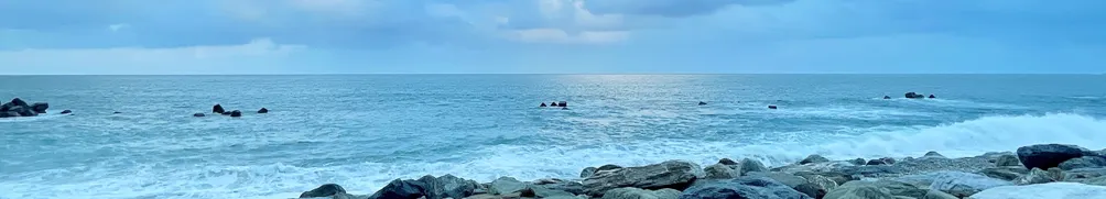 莎拉旅行中的沙龍