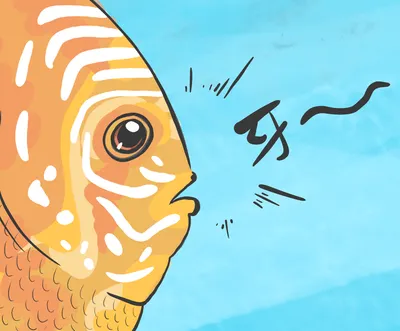 鯛魚先生的美食圖書館