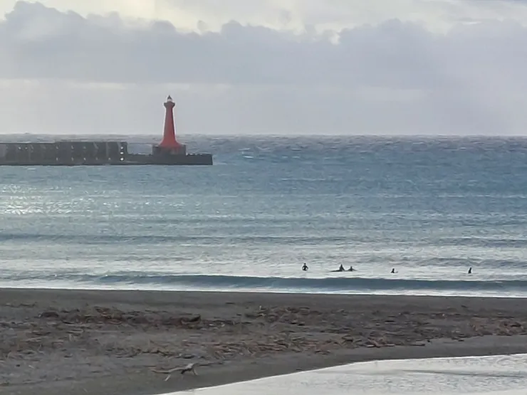 有人在衝浪 / 資料來源:我自己