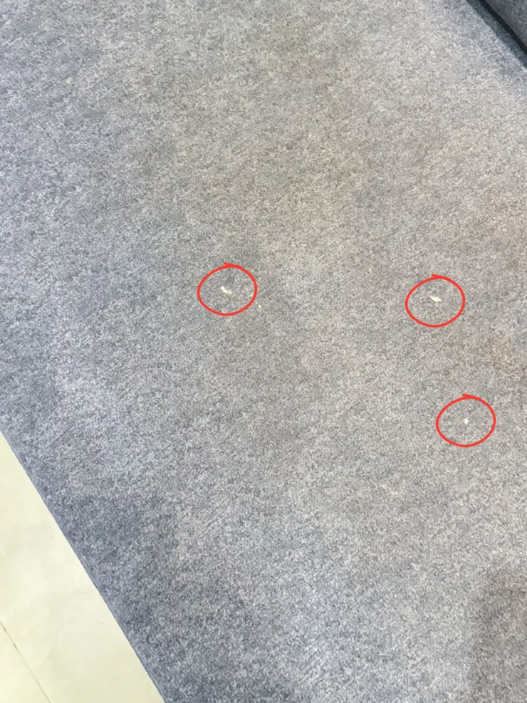 高雄貓抓布沙發推薦分享,平實手工沙發,精品級售後服務!坐一輩