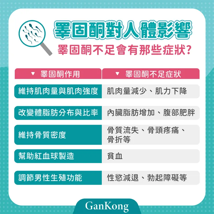 睪固酮對人體的影響