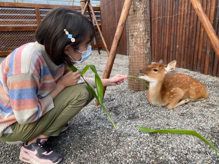 ᴀɴɴᴀ🔍蔬食生活日誌