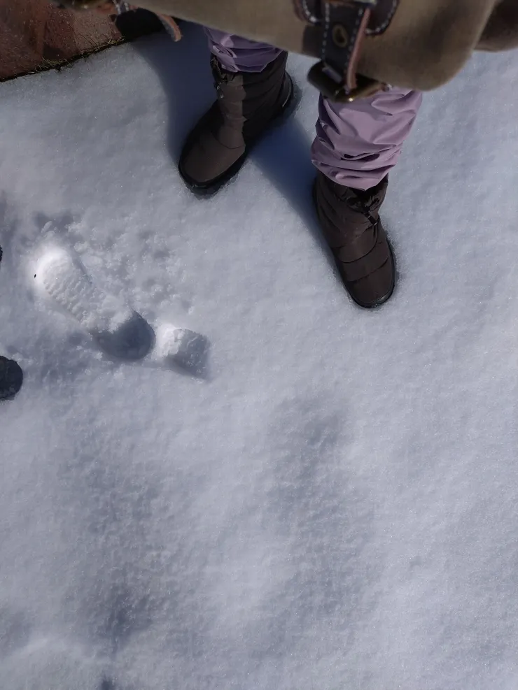 好穿、保暖又防水的基本款平價雪靴，攝於金澤城公園雪地上。
