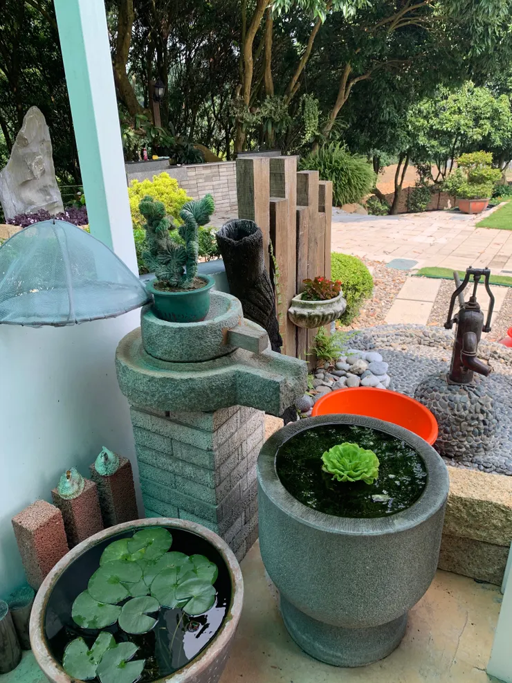 小水盆，裡面有很多孔雀魚。